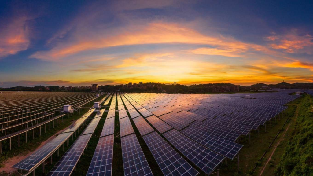 minda crop, mindacrop